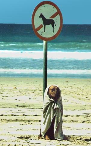 verboden honden.jpg
